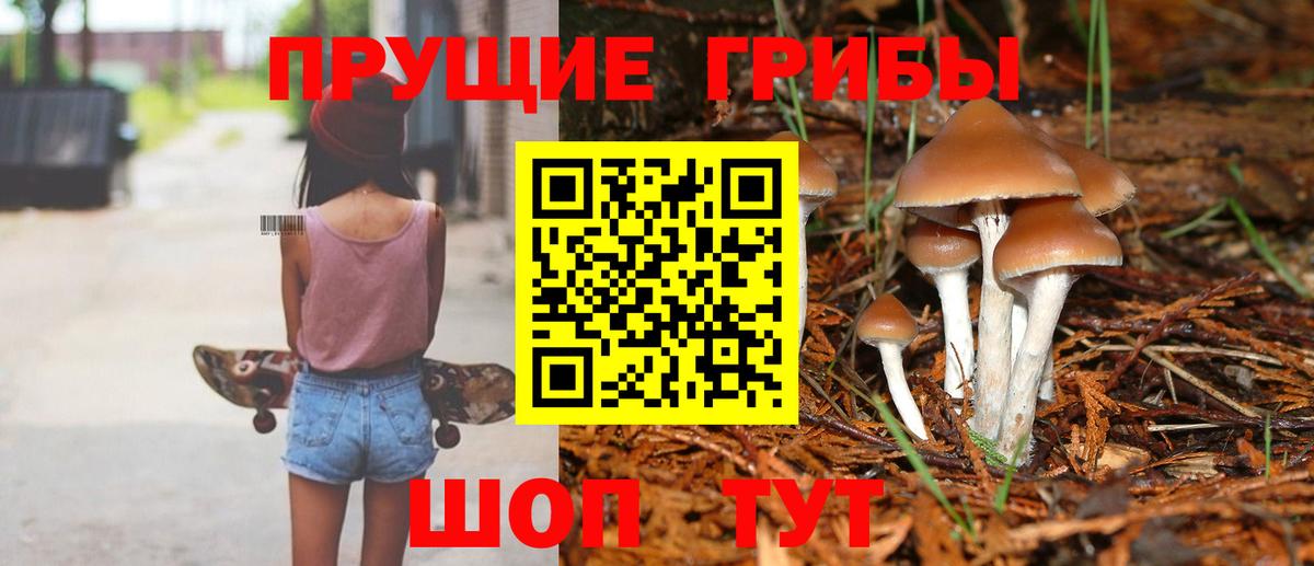Галлюциногенные грибы прущие грибы  Галлюциногенные грибы MAGIC MUSHROOMS  как найти закладки  Вход с VPN  Саров 