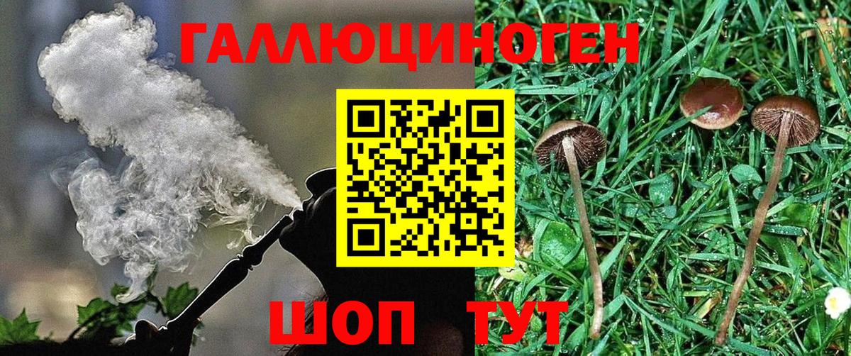 Галлюциногенные грибы Magic Shrooms Саров