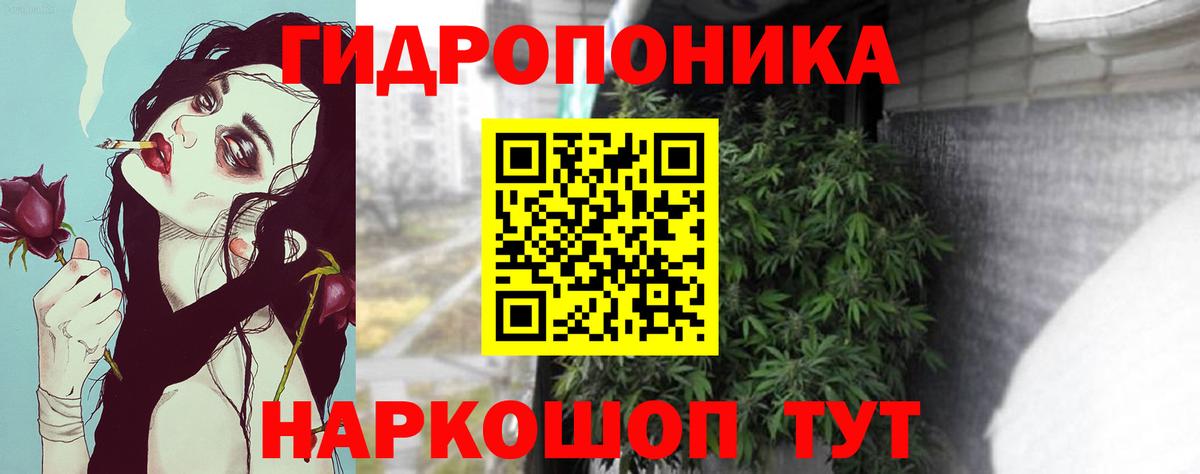 Канабис планчик  Бошки Шишки VHQ  Бошки Шишки SATIVA & INDICA  Вход с VPN  Марихуана VHQ  Саров 
